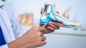 Foto di un medico che mostra un modello anatomico dell'articolazione della caviglia.