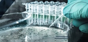 ortobiologia-e-cartilagine-min